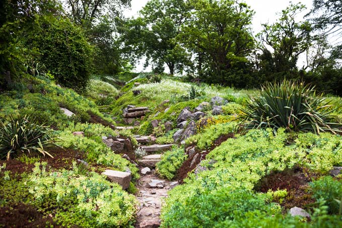 Using the Natural Enviroment In Lanscaping  Gardener's Path