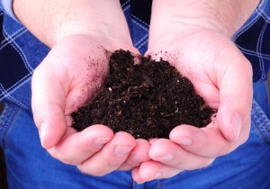 Cupped human hands hold compost.