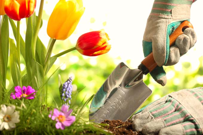 10 Top Essential Gardening Tools | Gardener's Path