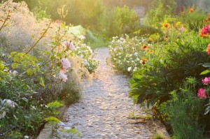 Tips to Keep Your Late Summer Garden Going Strong | GardenersPath.com