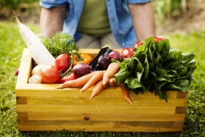 Organic Gardening 101: How to Get Started