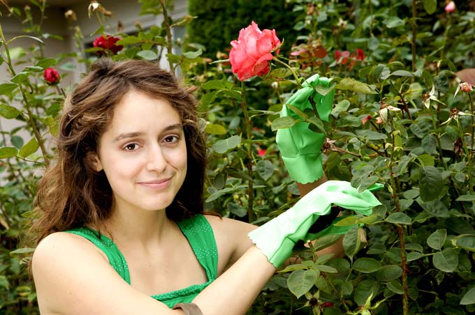 A woman wearing gloves and holding the stem of a rose in one hand and clippers in the other smiles while the prunes the plants.