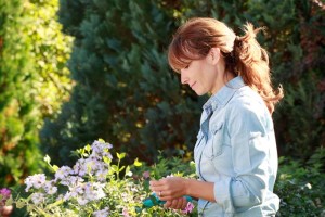 Grow Your Own Cut Flower Garden