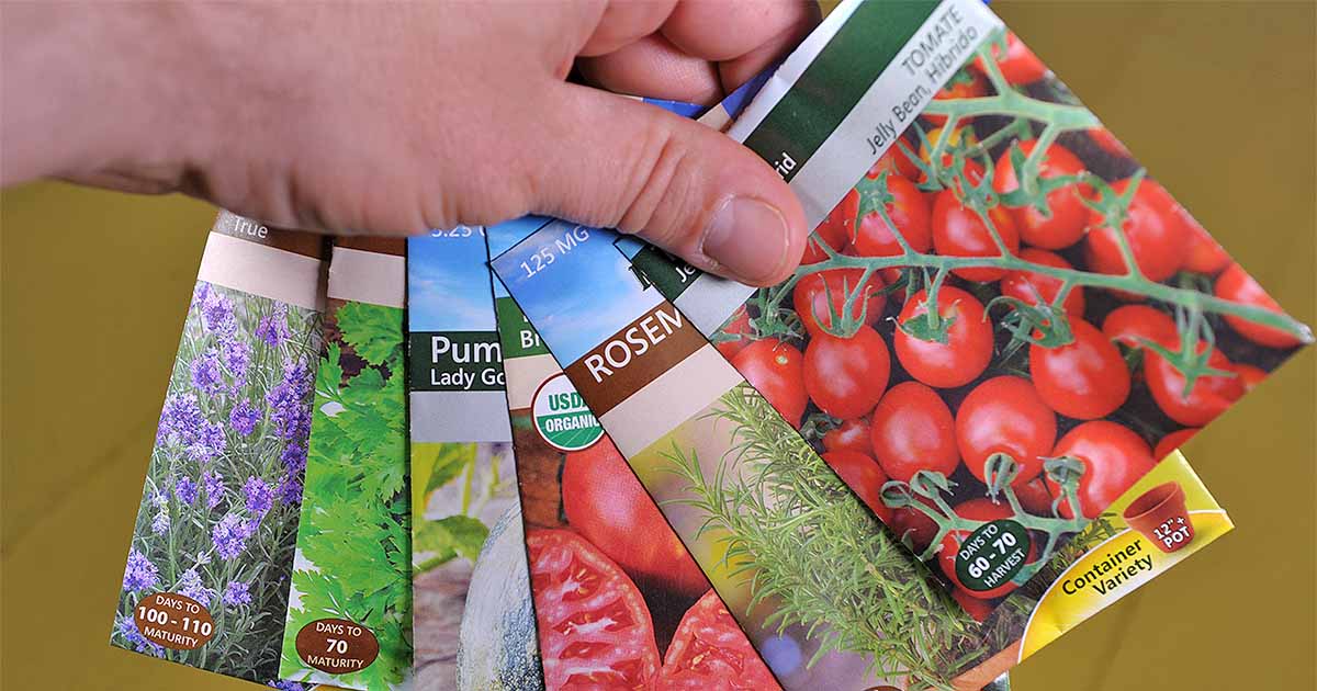 How to Read Seed Packets for Planting Success