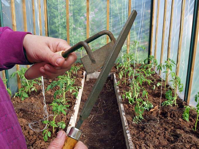 A close up of two hands using a mill file to sharpen a garden hoe, pictured in a greenhouse with plants in the background.