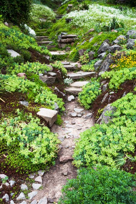 Using Stones and Xeroscaping in Your Landscaping | GardenersPath.com
