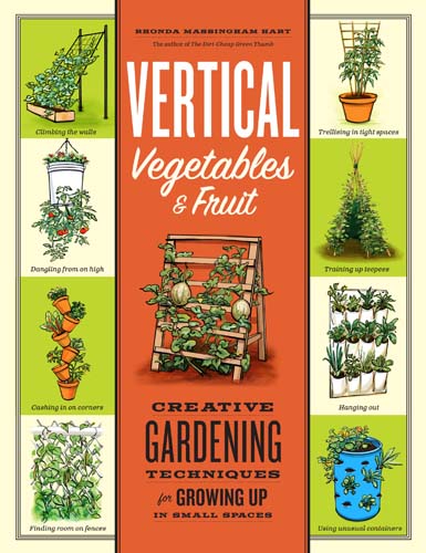 How to Create a Vertical Garden - 9