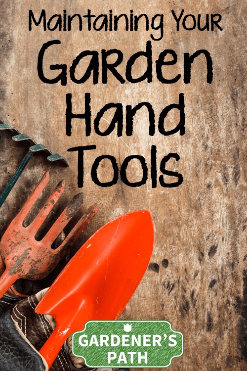 Do you have problems using that old shovel or hoe (or even more likely - brand new ones)? If so, lack of maintenance may be the issue. Read what you need to do to properly maintain your gardening tools now.