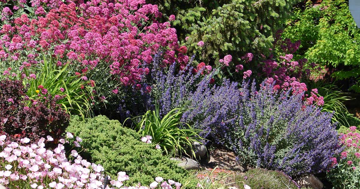 Guide To Low Maintenance Landscaping, Front Yard Landscape Plans With Plant Names