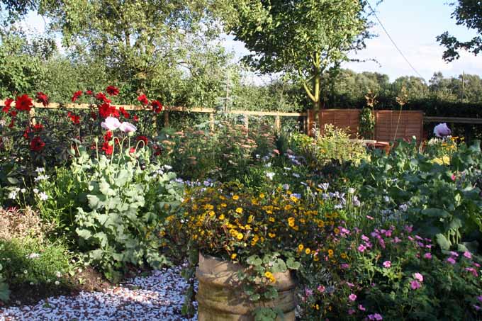 A garden with a variety of different shrubs and flowering plants to attract pollinators.