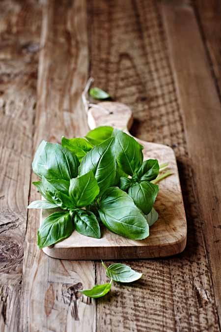 A vertical picture of a small chopping board with freshly harvested basil set on a rustic wooden surface.