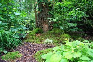Plant Folklore: Myths, Magic, and Superstition