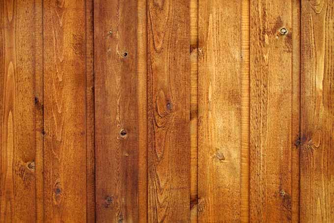 A close up of a cedar wood wall that has been stained, clearly showing the grain of the wood.