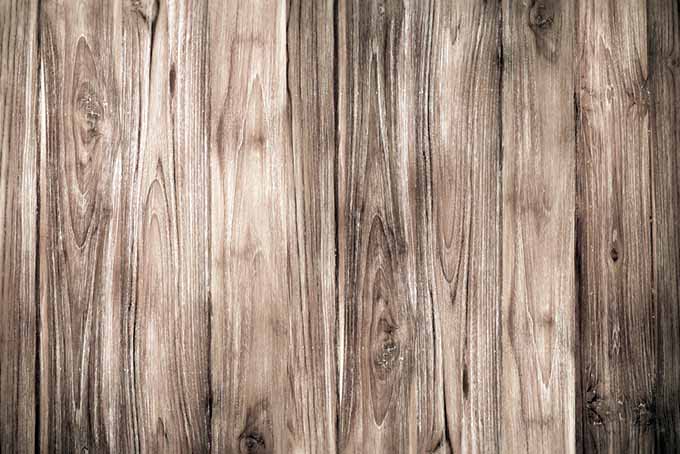 A close up of a pine wood wall with grain and knots in the wood clearly visible.