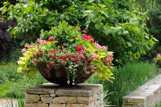 A round, bowl-shaped brown container rests atop a stone wall, overflowing with flowers and creeping plants.