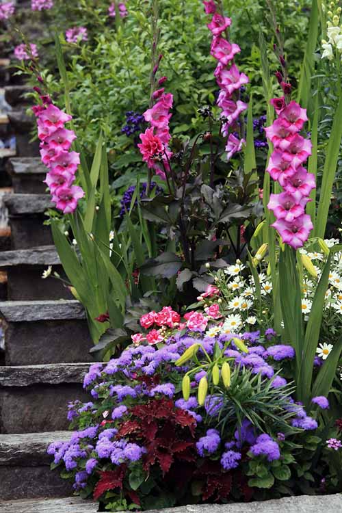 Several kinds of flowers grow out of containers set up to the right of a beautiful stone staircase.