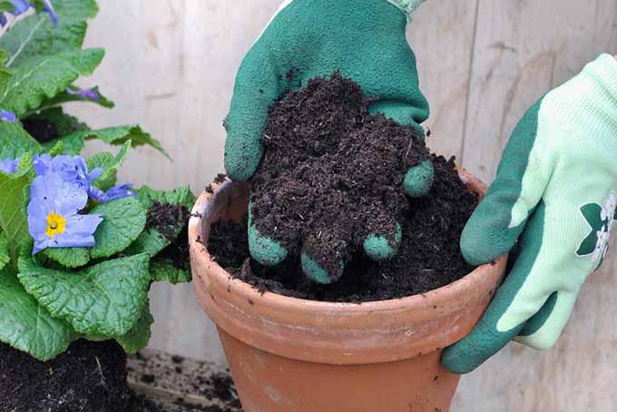Gloved Hand Holding Soil | GardenersPath.com