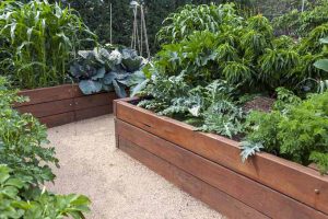 Your Ultimate Guide to Square Foot Gardening | Gardener's Path