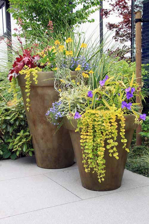 Container plants looking sad and tired when the dog days of summer roll around? Here's some ridiculously easy tricks to keep your containers looking great in the heat, no matter what: https://gardenerspath.com/how-to/containers/tips-for-beautiful-garden-containers/