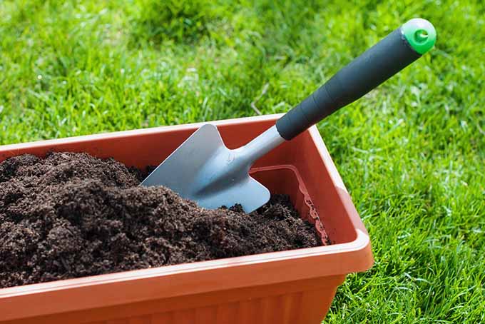 Spade in Container with Soil | GardenersPath.com