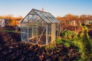 Season Extension Greenhouse | GardenersPath.com