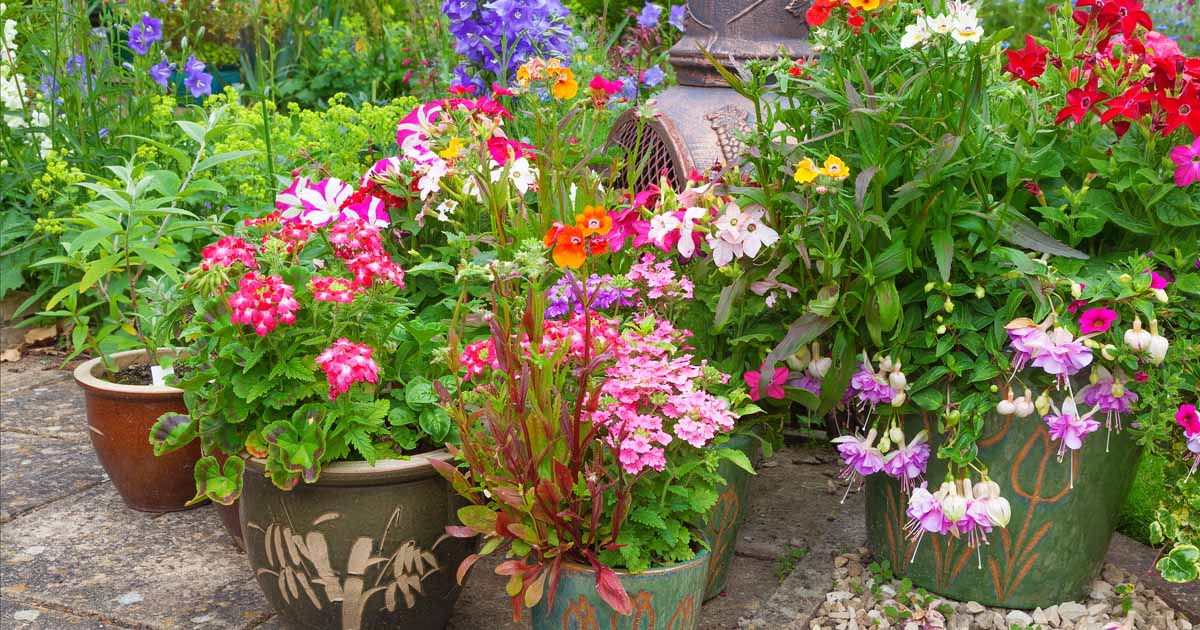 Beautiful Garden Containers, How To Use Planters In Your Garden