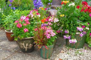 Keep Your Containers Looking Great With These 6 Simple Tricks