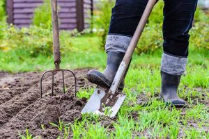 Dig in to our springtime gardening checklist. | Gardenerspath.com