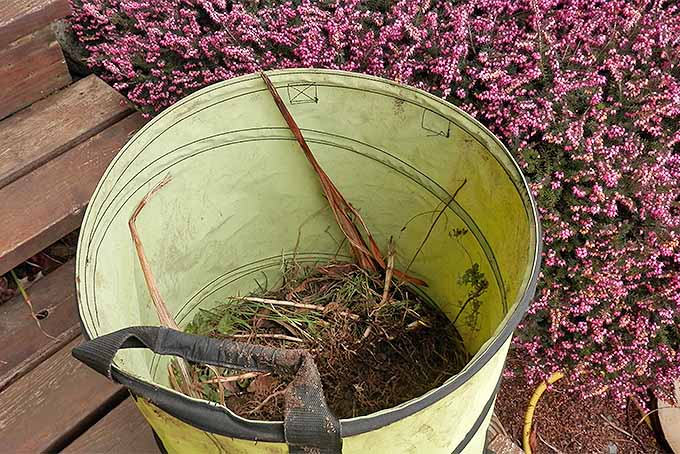 A pale green pop-up landscaping bag with gray strap on a wooden deck, filled with yard waste, with a pink flowering shrub in the background.