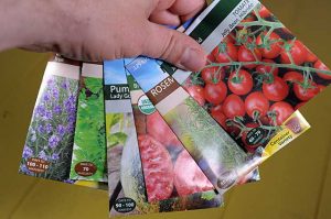 A human hand olds a cluster of seed packets of different varieties | Gardener's Path
