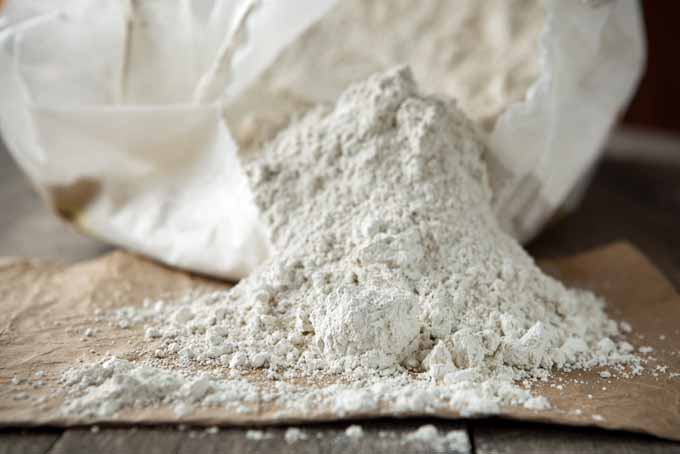 How to Use Diatomaceous Earth for Pest Control | GardenersPath.com