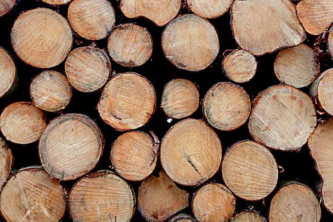 A close up horizontal image of a pile of stacked wooden logs.