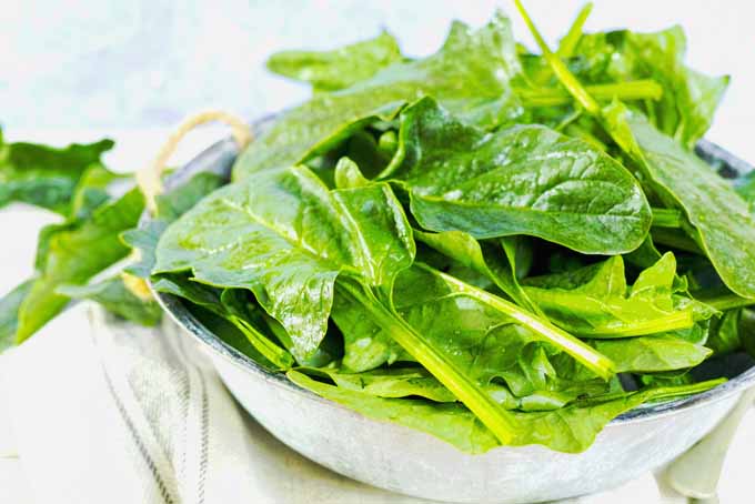 Grow Spinach Right At Home | GardenersPath.com
