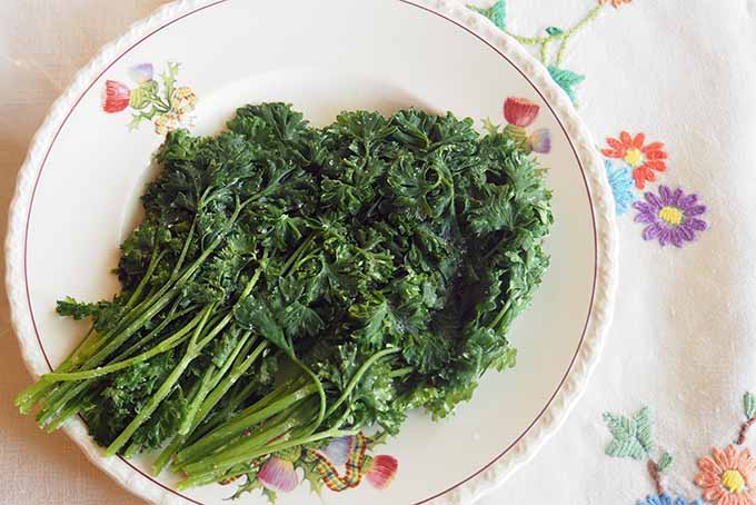 Learn how to reserve parsley using any of a number of methods | GardenersPath.com
