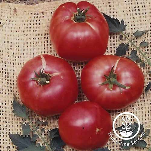 A close up of four 'German Johnson' tomatoes set on a hessian surface with foliage scattered around. To the bottom right of the frame is a white circular logo with text.