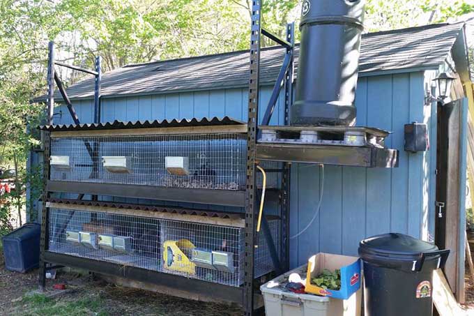 Pallet racks rabbit cages | Gardener's Path