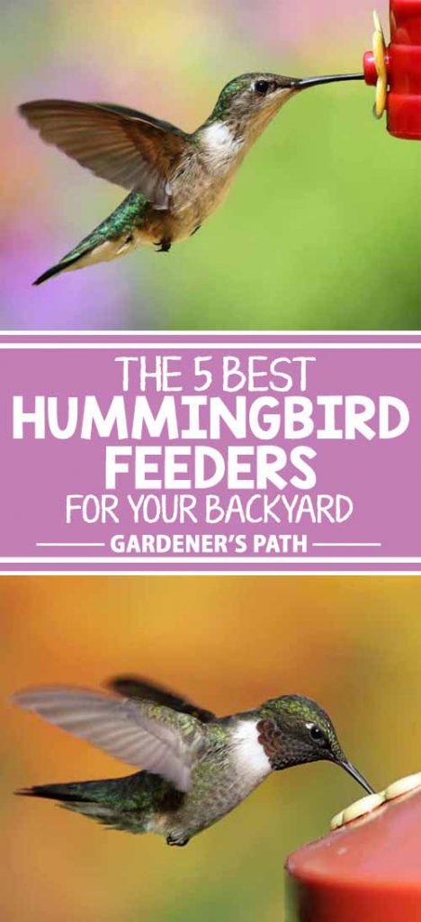 Have you ever seen hummingbirds in the wild? Tiny and fast, they’re hard to spot. Wouldn’t it be great to slow them down for a good look? You can, with a hummingbird feeder filled with the sweet nectar they crave. Read on to learn about 5 products that are perfect for attracting these tiny wonders to your yard.