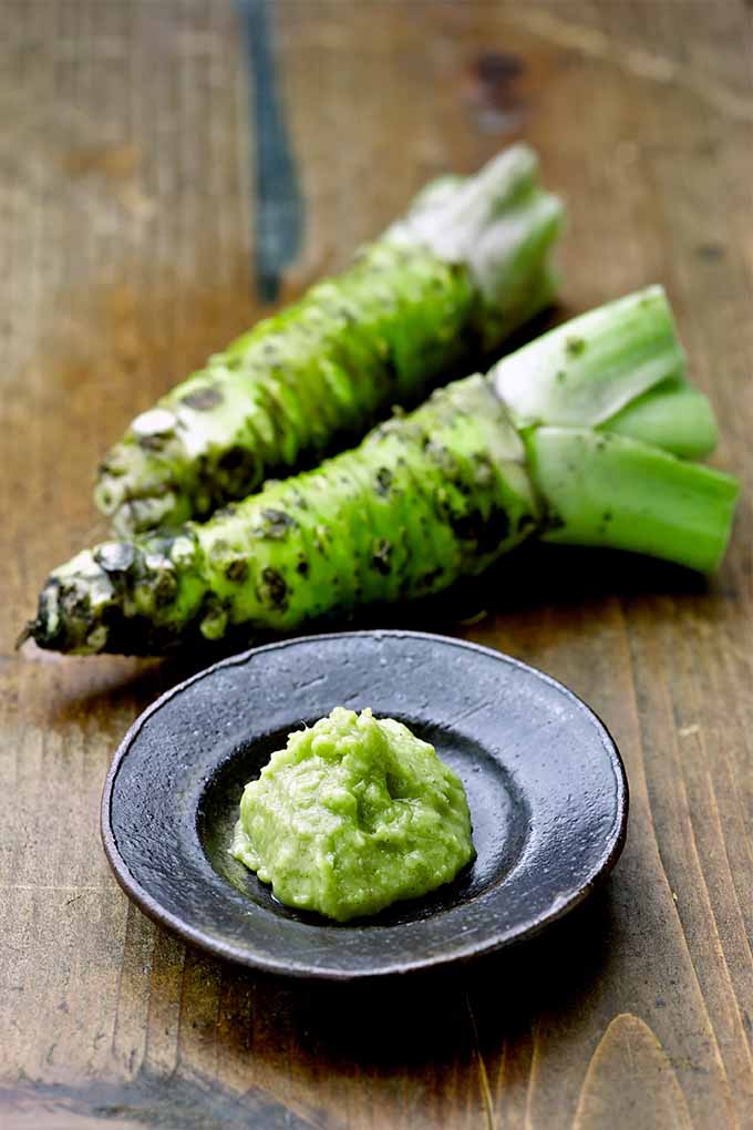 Learn about the differences between wasabi and horseradish and what you're really getting at the sushi restaurant: https://gardenerspath.com/plants/herbs/how-to-grow-horseradish/
