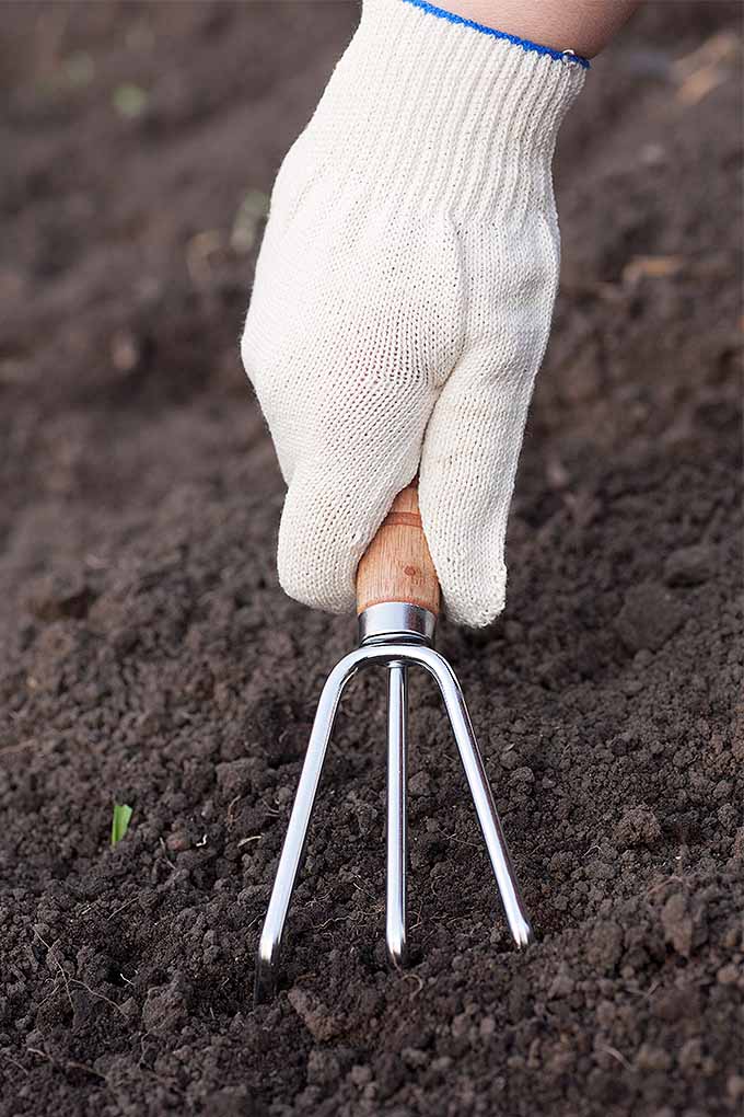 Cabilock Garden Hand Cultivator Rake Tiller Tool Stainless Steel Soil Tiller Hand Fan Rake for Gardening Cultivating Loosening Digging