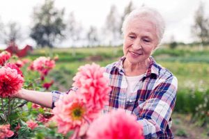 Why Seniors Should Garden (Plus 7 Tricks)