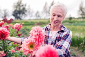 Proper tools can make gardening easy for people in their later years | GardenersPath.com