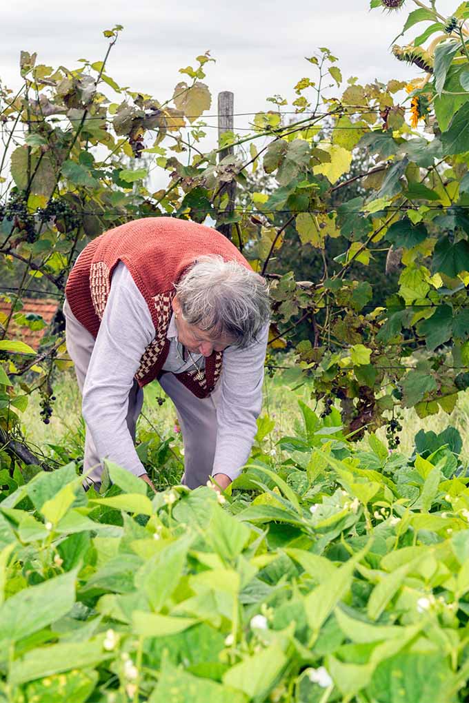 How Senior Citizens Can Benefit From Gardening | Gardener's Path