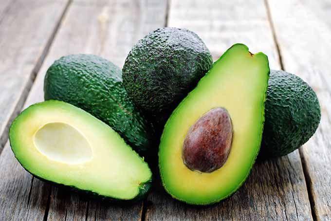 Get advice from our gardening experts about how to grow avocados in your garden | GardenersPath.com
