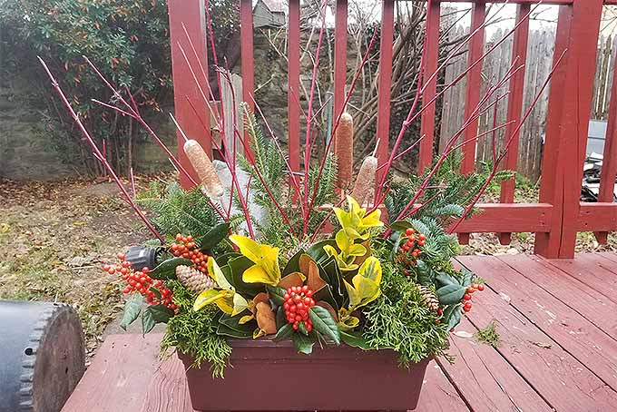 DIY Wintertime Decorative Arrangement Design | GardenersPath.com