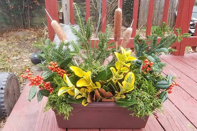 Learn How to Use Local Foliage in Holiday Decorations | GardenersPath.com