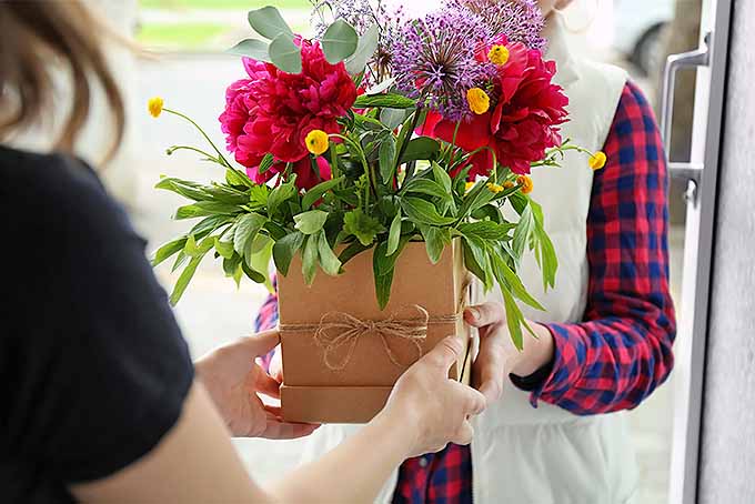 7 Tips You Need to Keep Fresh Flowers Fabulous | Gardener's Path