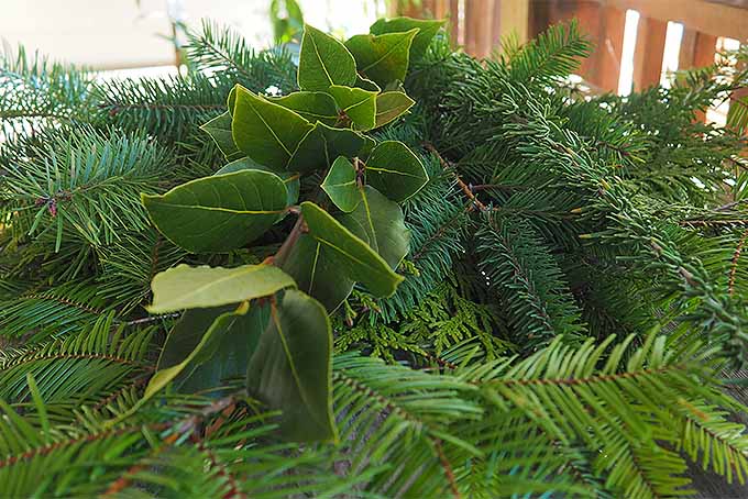 Top with a Layer of Ornamental Boughs | GardenersPath.com