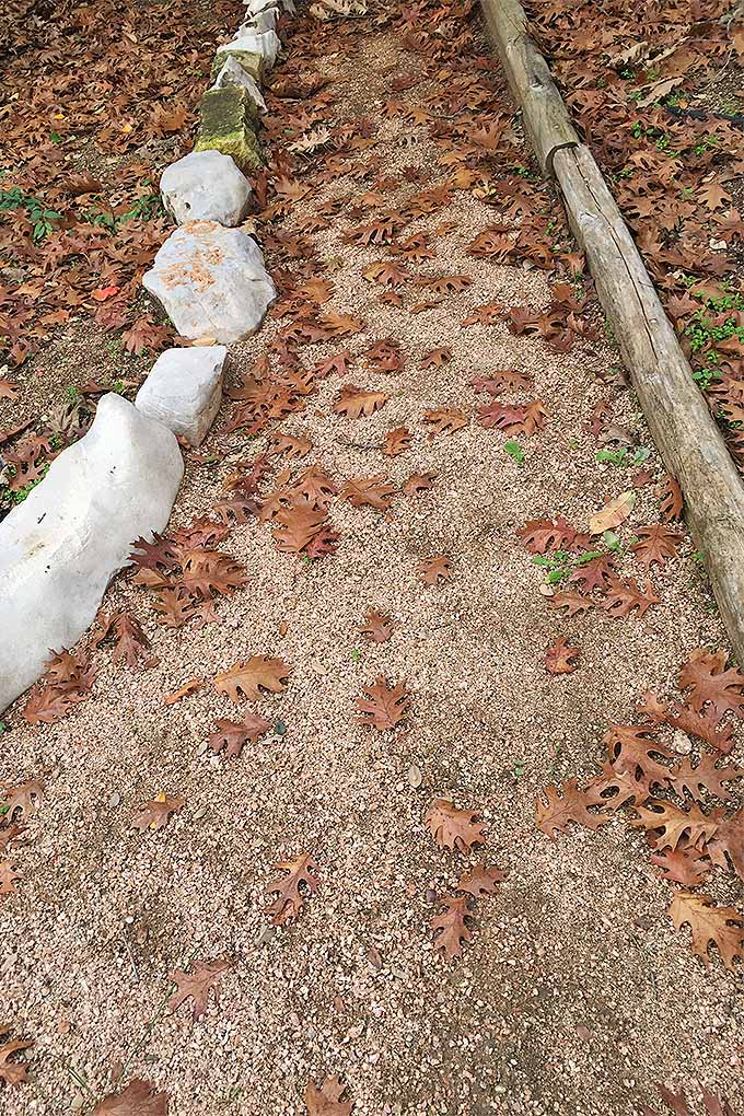 A vertical close up image of a gravel pathway with stone edging on one side and wood edging on the other, covered in fall leaves.