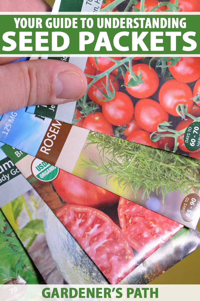 How to Read Seed Packets for Planting Success