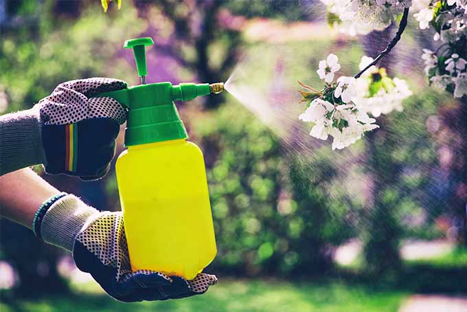 Spraying chemicals safely in the garden | GardenersPath.com